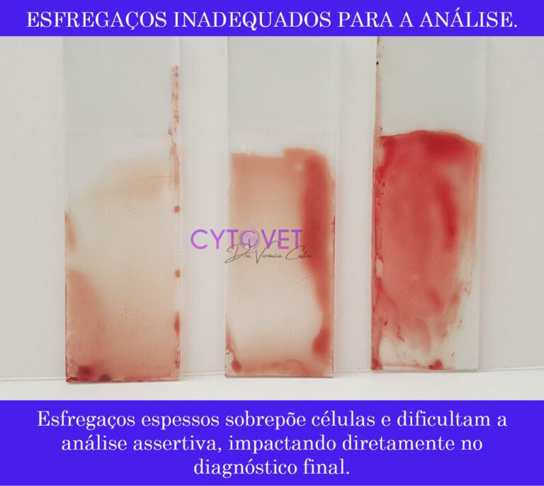 img-01