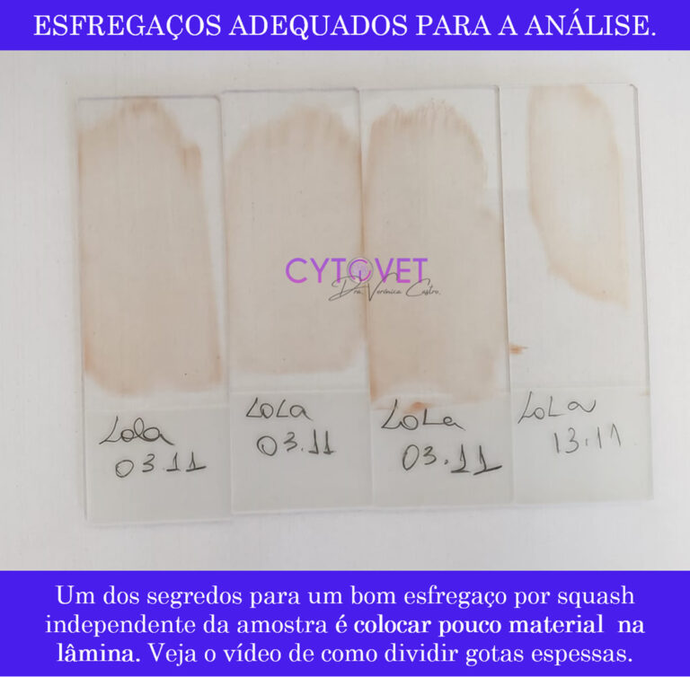 img-02